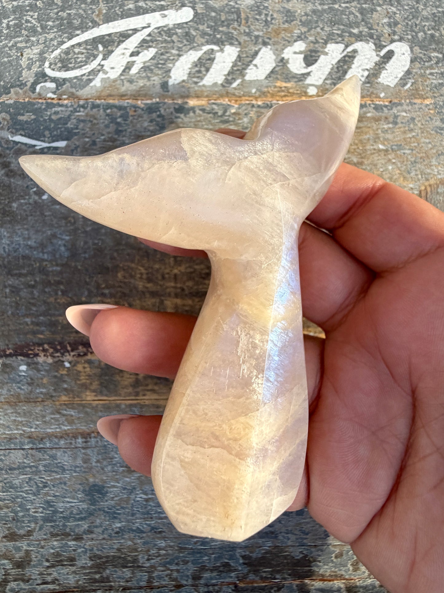 Gorgeous Blue Flash Moonstone Whale Tail | Opt 16