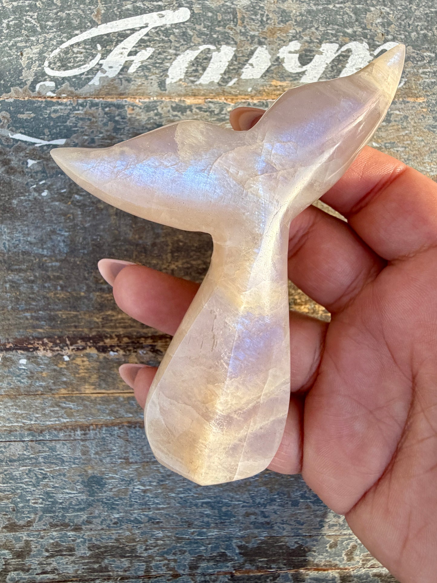 Gorgeous Blue Flash Moonstone Whale Tail | Opt 16