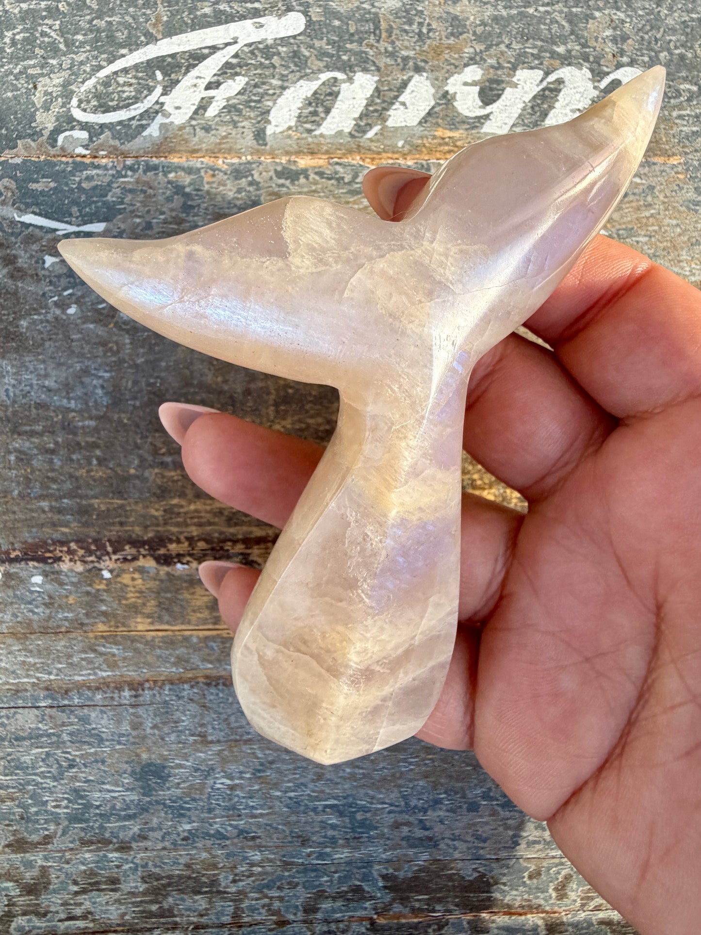 Gorgeous Blue Flash Moonstone Whale Tail | Opt 16