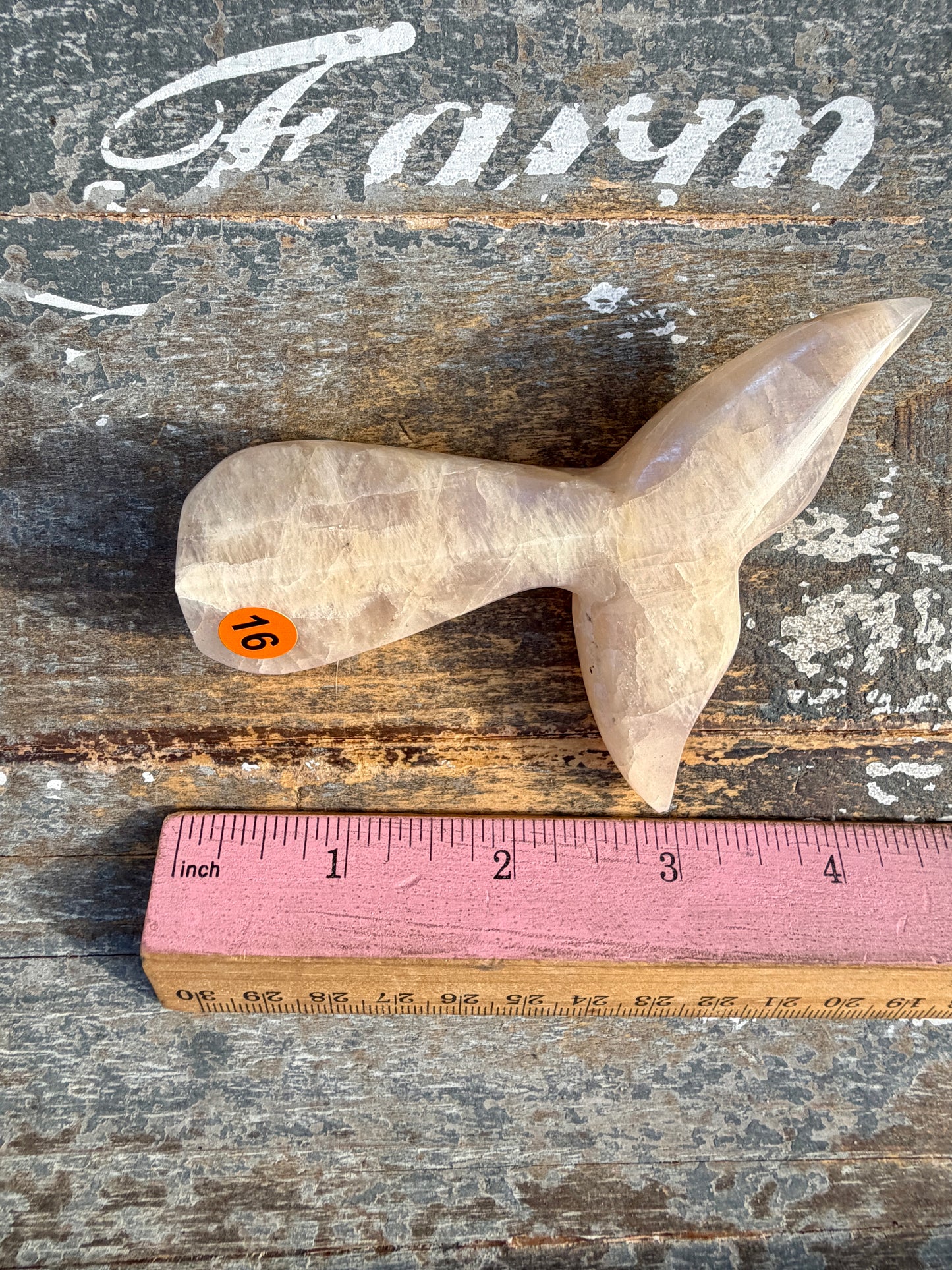 Gorgeous Blue Flash Moonstone Whale Tail | Opt 16