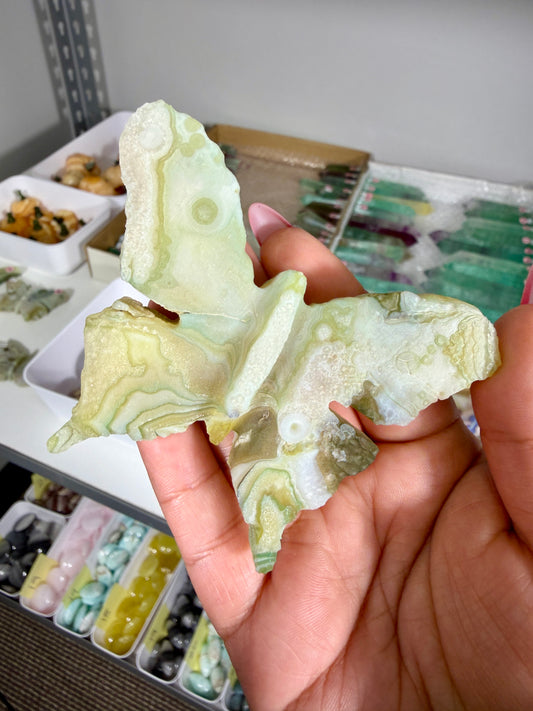 Gorgeous Gobi Agate Hand Carved Butterfly | Opt 46