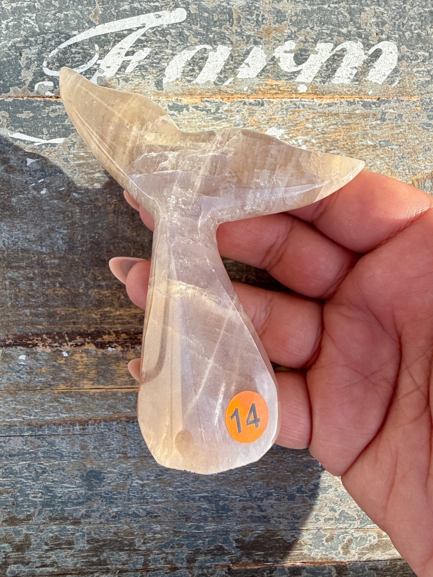 Gorgeous Blue Flash Moonstone Whale Tail | Opt 14