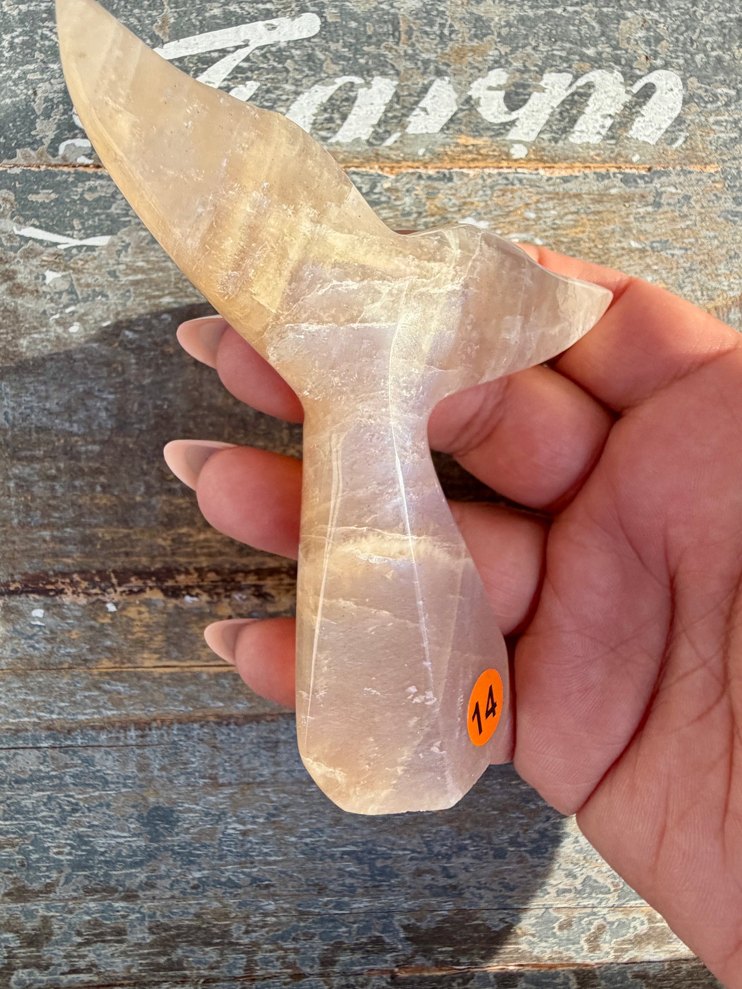 Gorgeous Blue Flash Moonstone Whale Tail | Opt 14