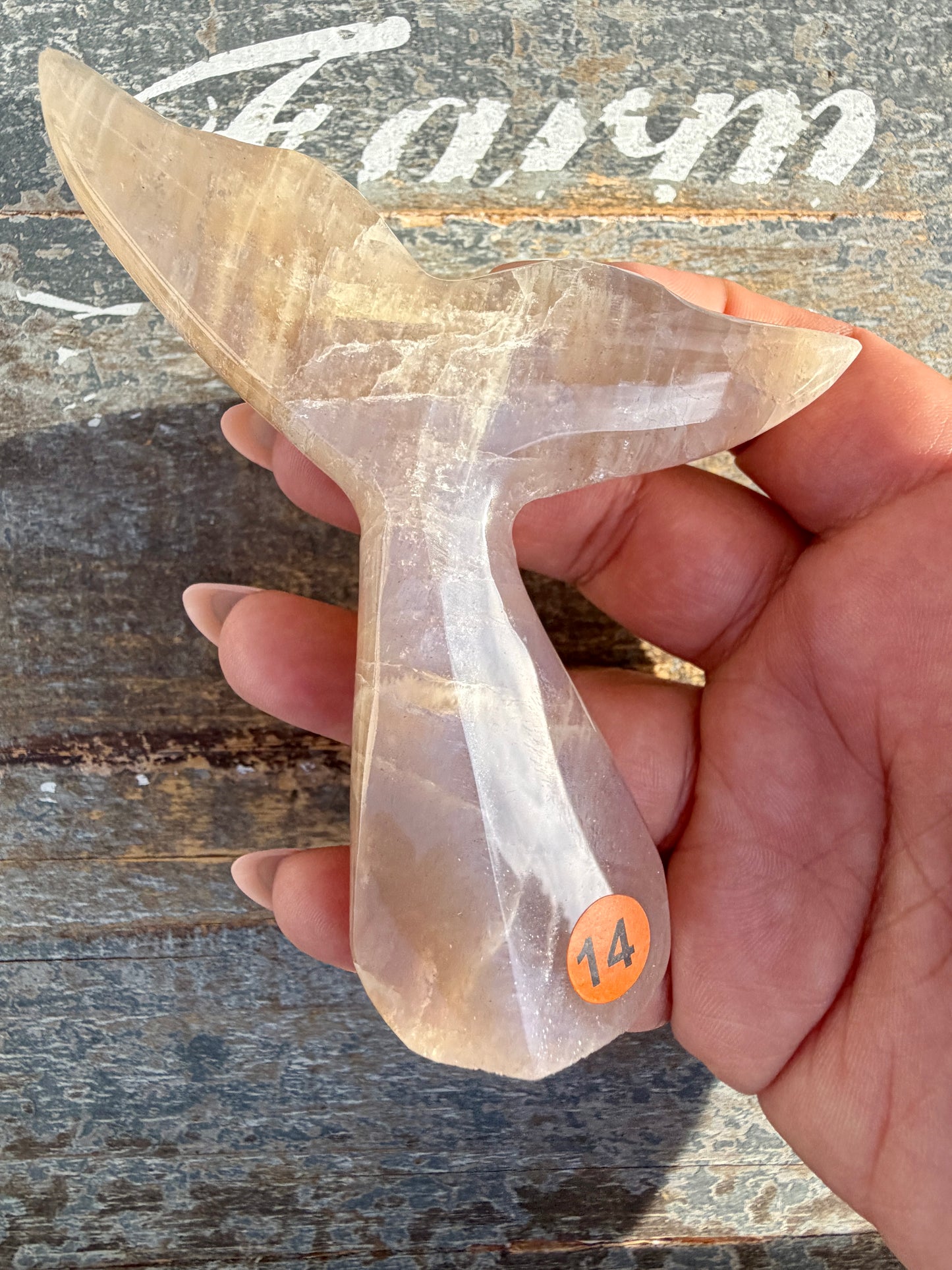 Gorgeous Blue Flash Moonstone Whale Tail | Opt 14