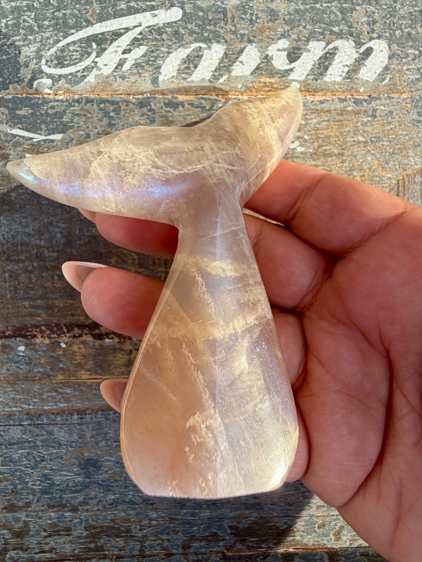 Gorgeous Blue Flash Moonstone Whale Tail | Opt 14
