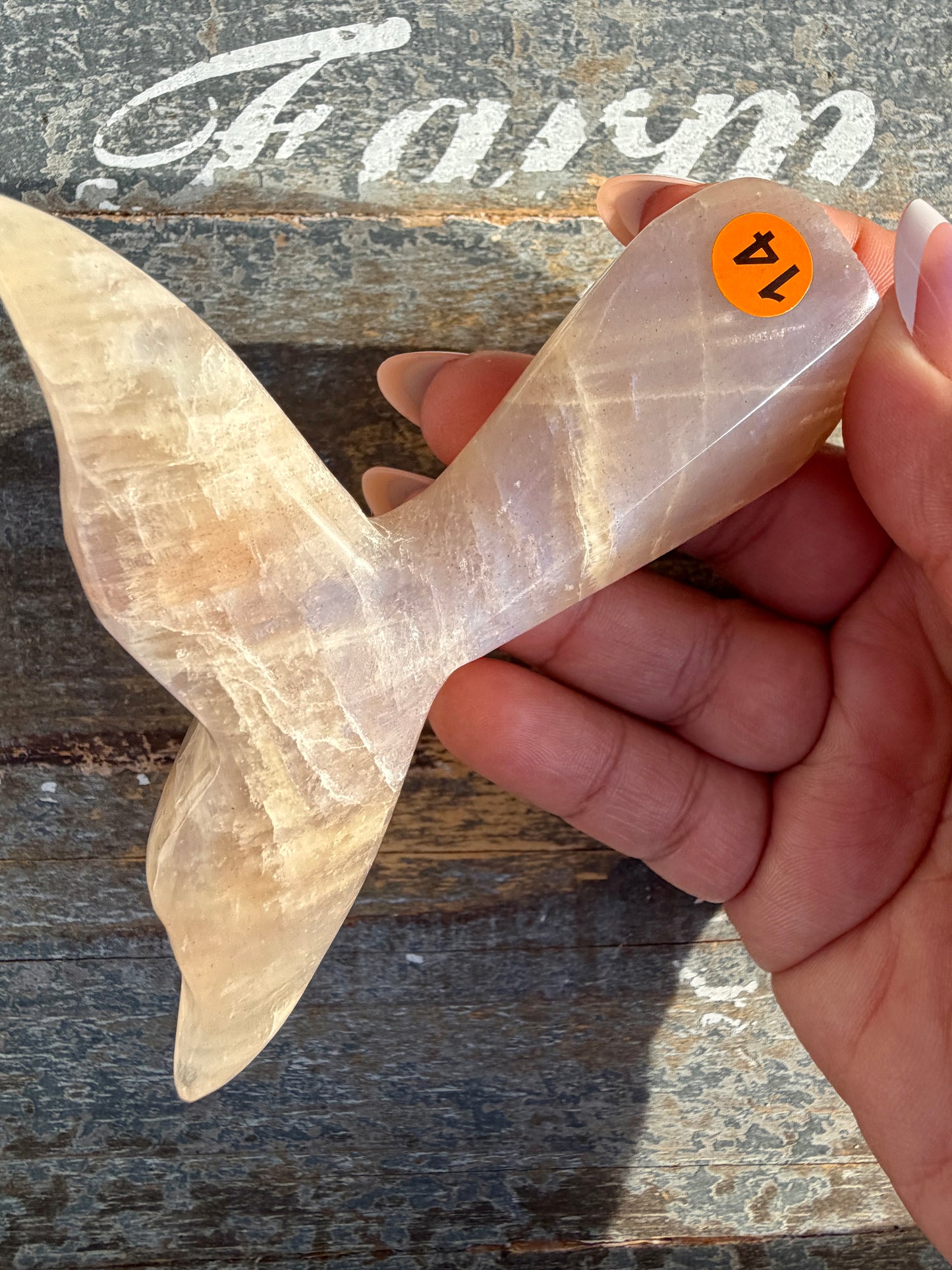 Gorgeous Blue Flash Moonstone Whale Tail | Opt 14