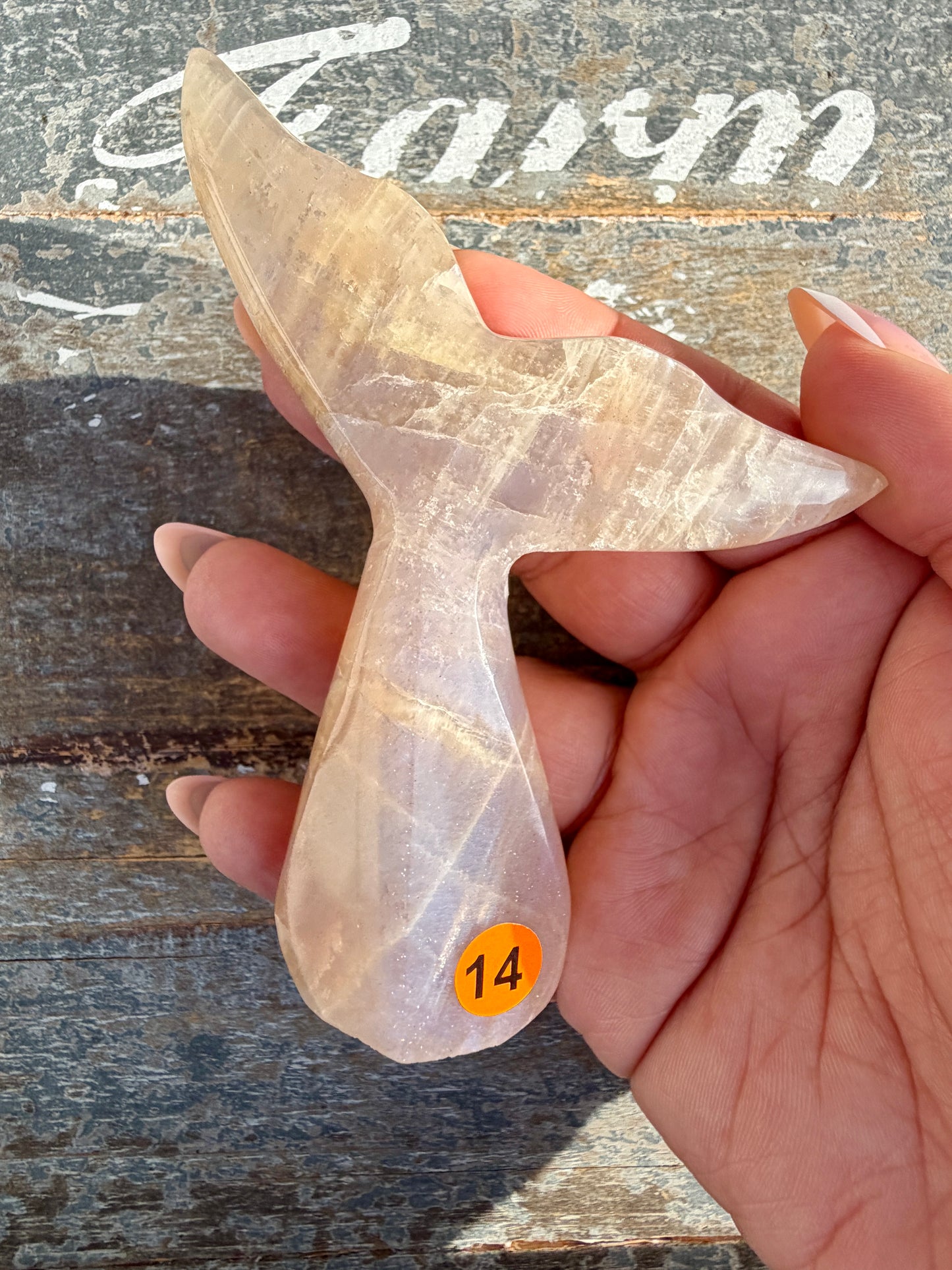 Gorgeous Blue Flash Moonstone Whale Tail | Opt 14