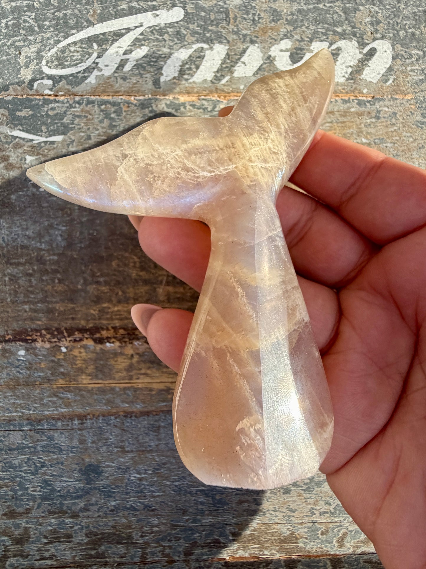 Gorgeous Blue Flash Moonstone Whale Tail | Opt 14