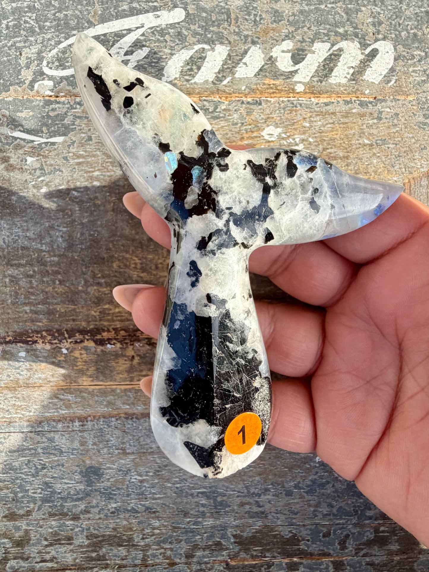 Gorgeous Rainbow Moonstone Whale Tail | India | Opt 1