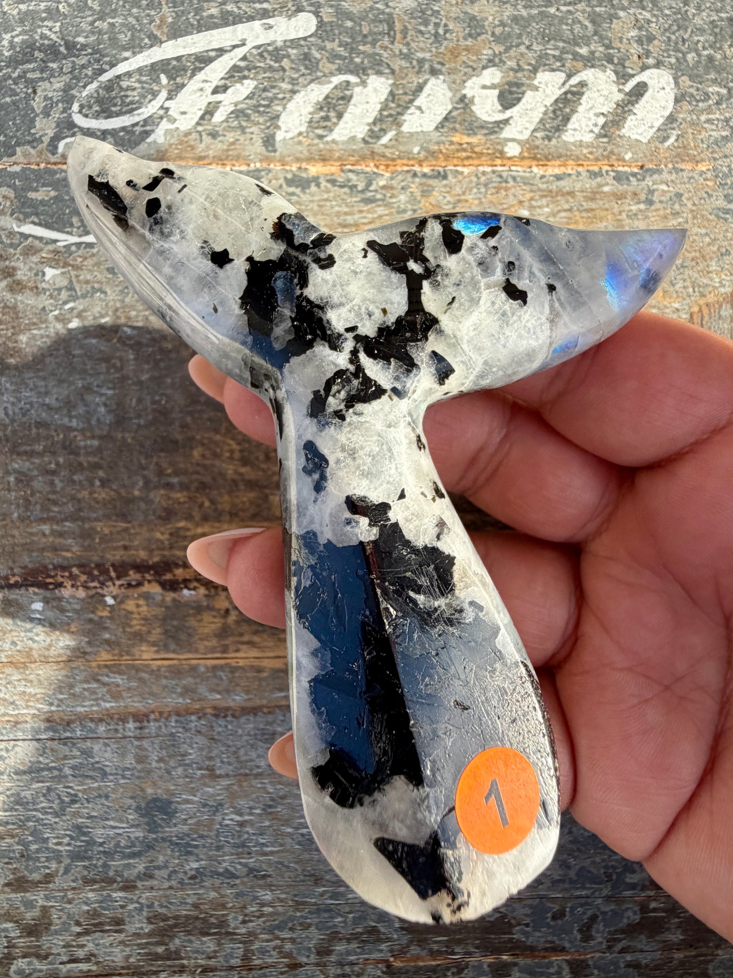 Gorgeous Rainbow Moonstone Whale Tail | India | Opt 1