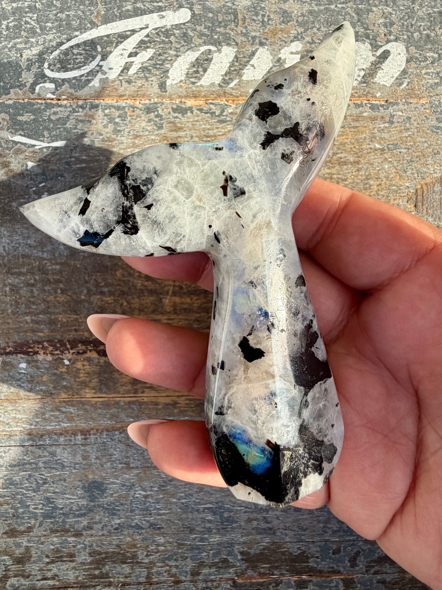 Gorgeous Rainbow Moonstone Whale Tail | India | Opt 1