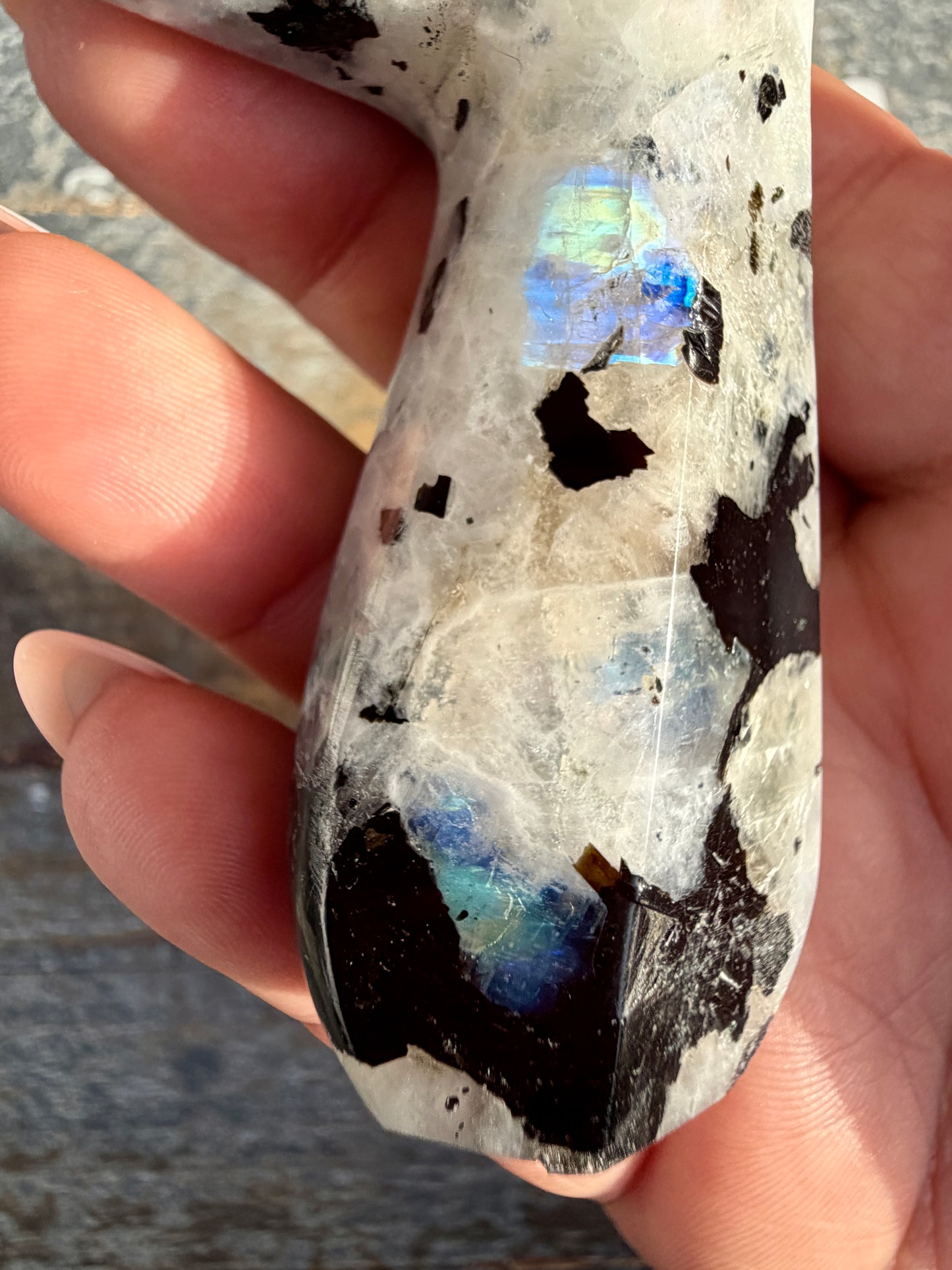 Gorgeous Rainbow Moonstone Whale Tail | India | Opt 1