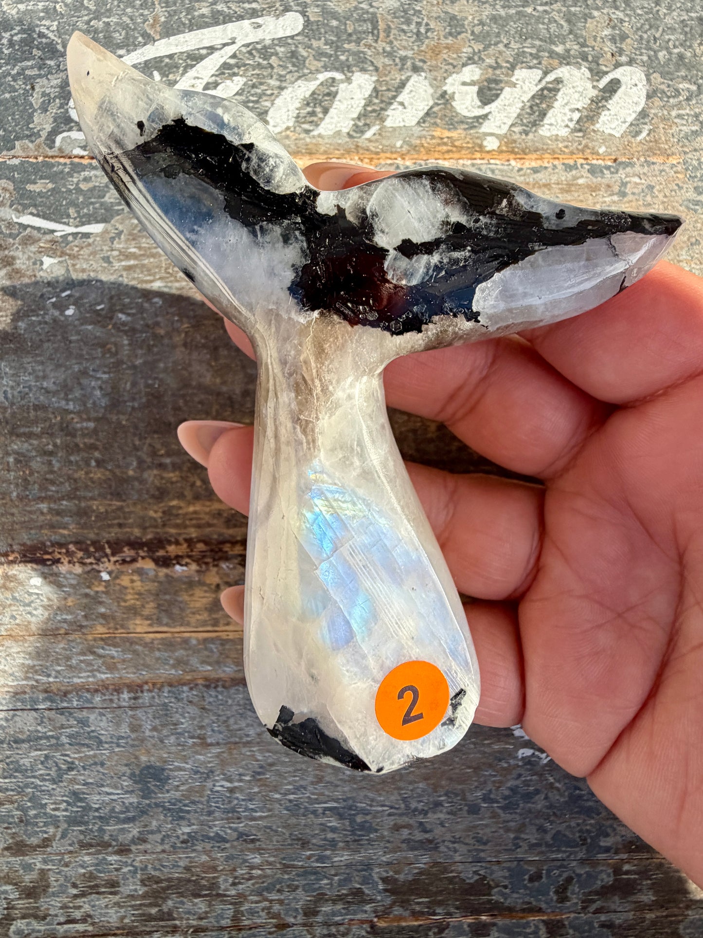 Gorgeous Rainbow Moonstone Whale Tail | India | Opt 2