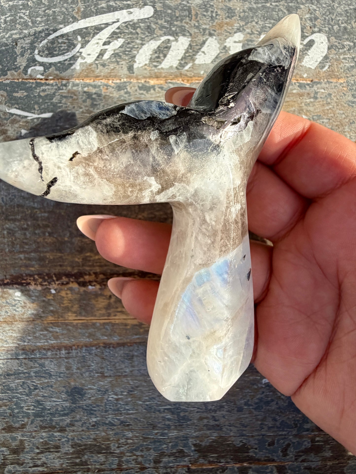 Gorgeous Rainbow Moonstone Whale Tail | India | Opt 2