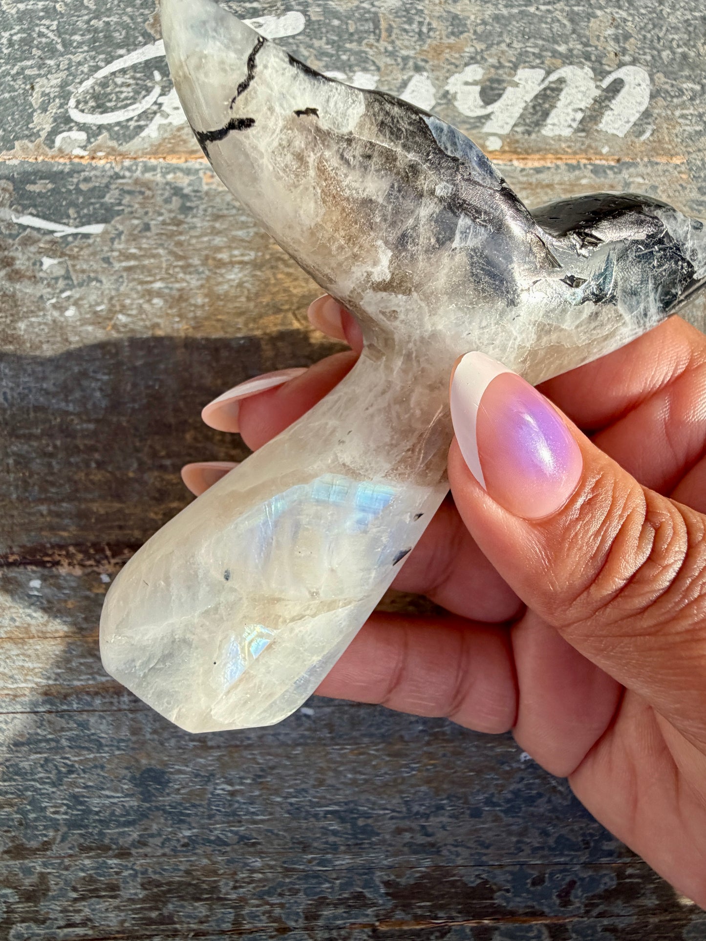 Gorgeous Rainbow Moonstone Whale Tail | India | Opt 2
