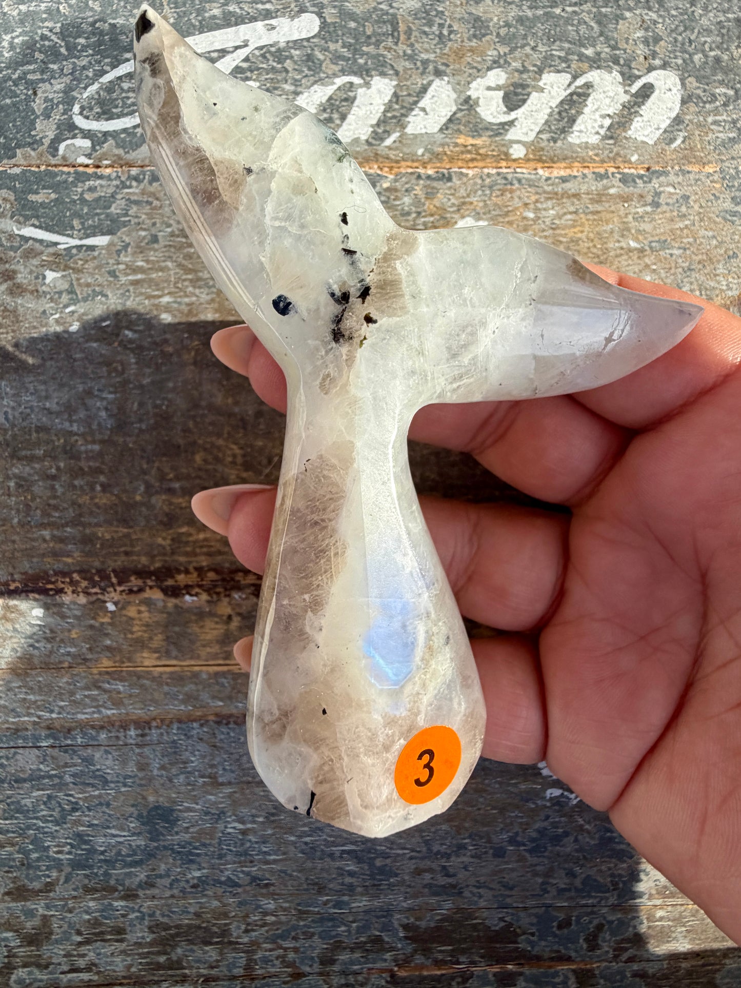 Gorgeous Rainbow Moonstone Whale Tail | India | Opt 3