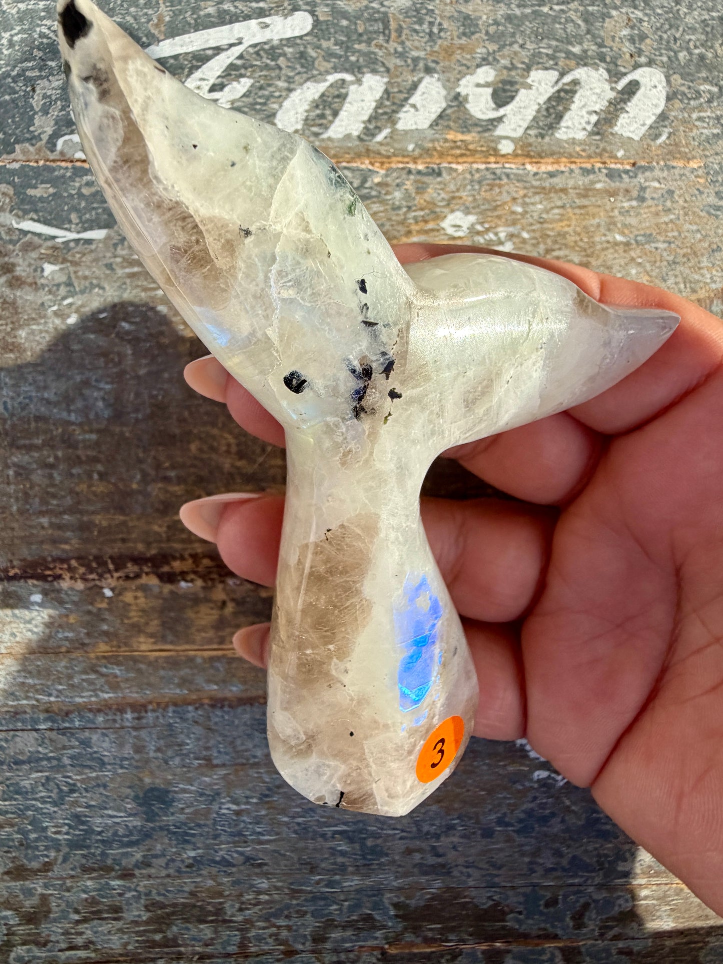 Gorgeous Rainbow Moonstone Whale Tail | India | Opt 3