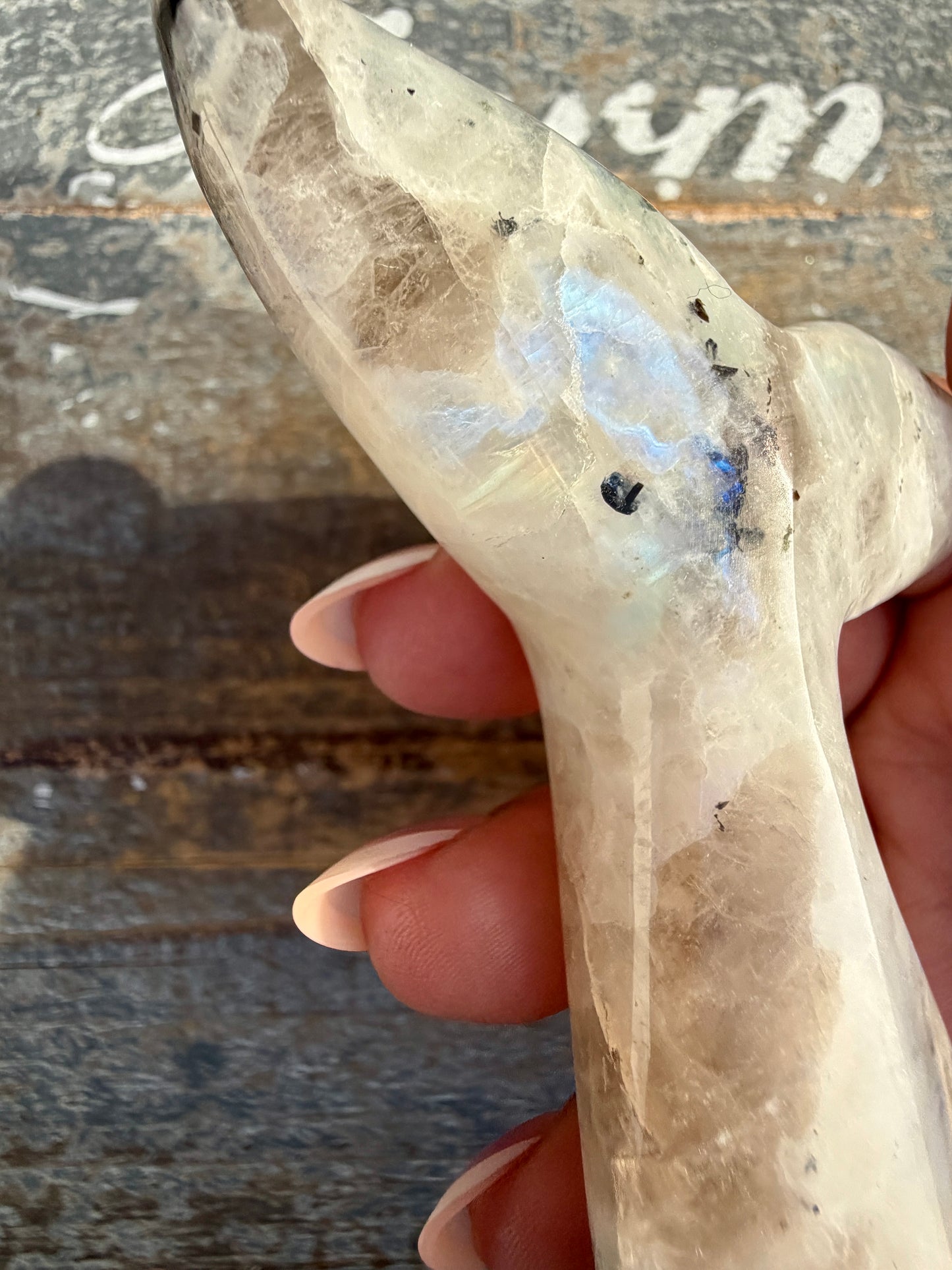 Gorgeous Rainbow Moonstone Whale Tail | India | Opt 3