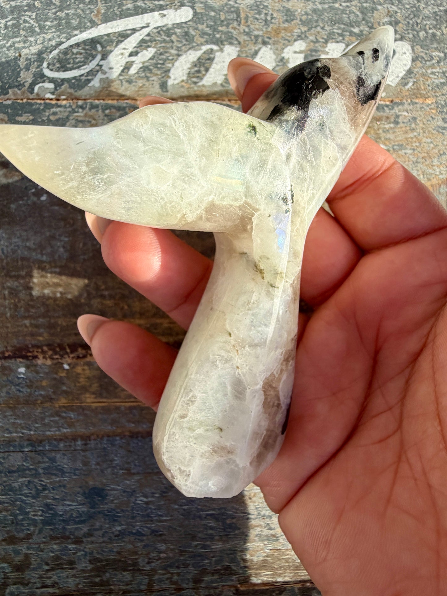 Gorgeous Rainbow Moonstone Whale Tail | India | Opt 3
