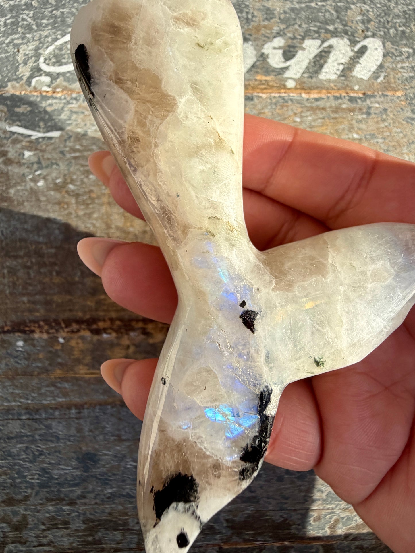 Gorgeous Rainbow Moonstone Whale Tail | India | Opt 3