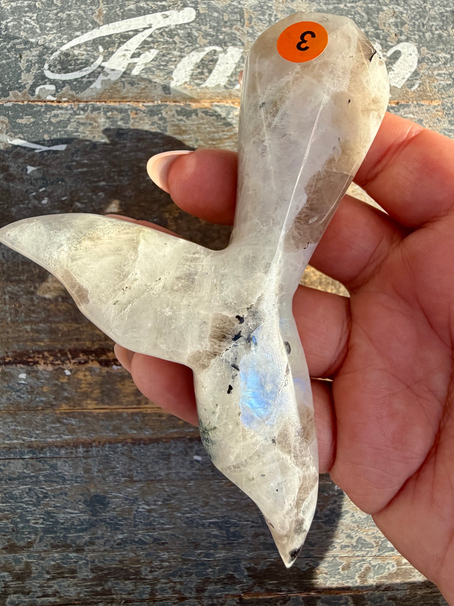 Gorgeous Rainbow Moonstone Whale Tail | India | Opt 3
