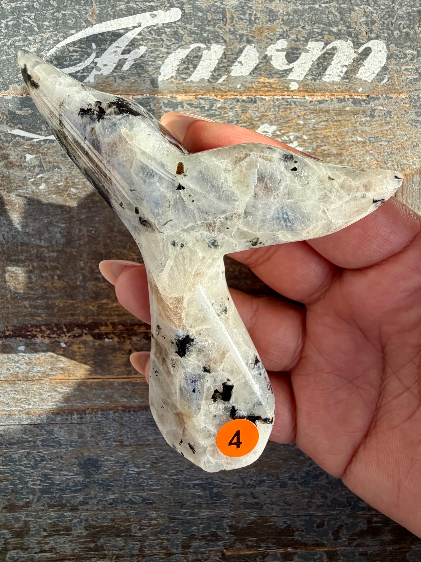 Gorgeous Rainbow Moonstone Whale Tail | India | Opt 4
