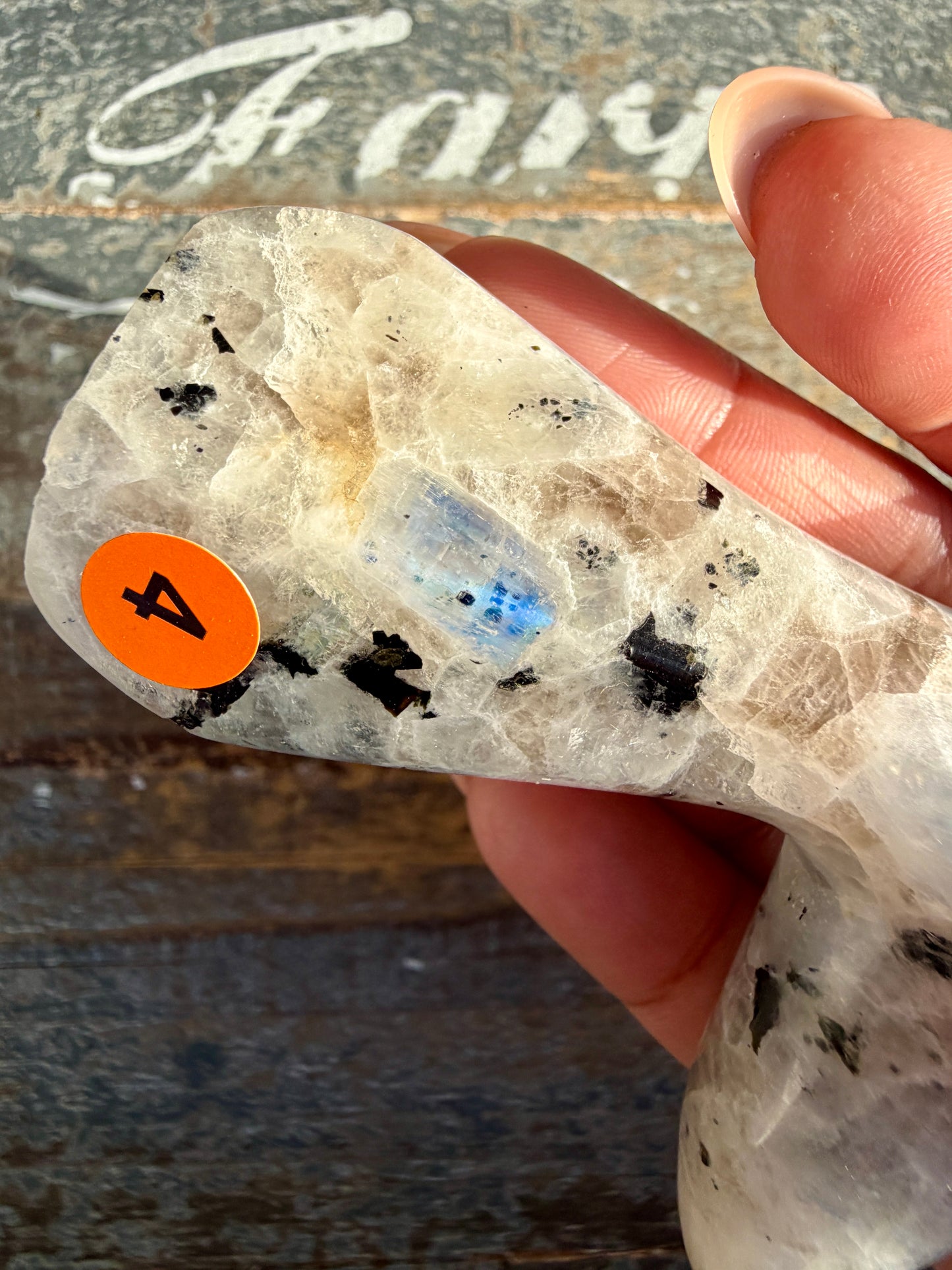 Gorgeous Rainbow Moonstone Whale Tail | India | Opt 4