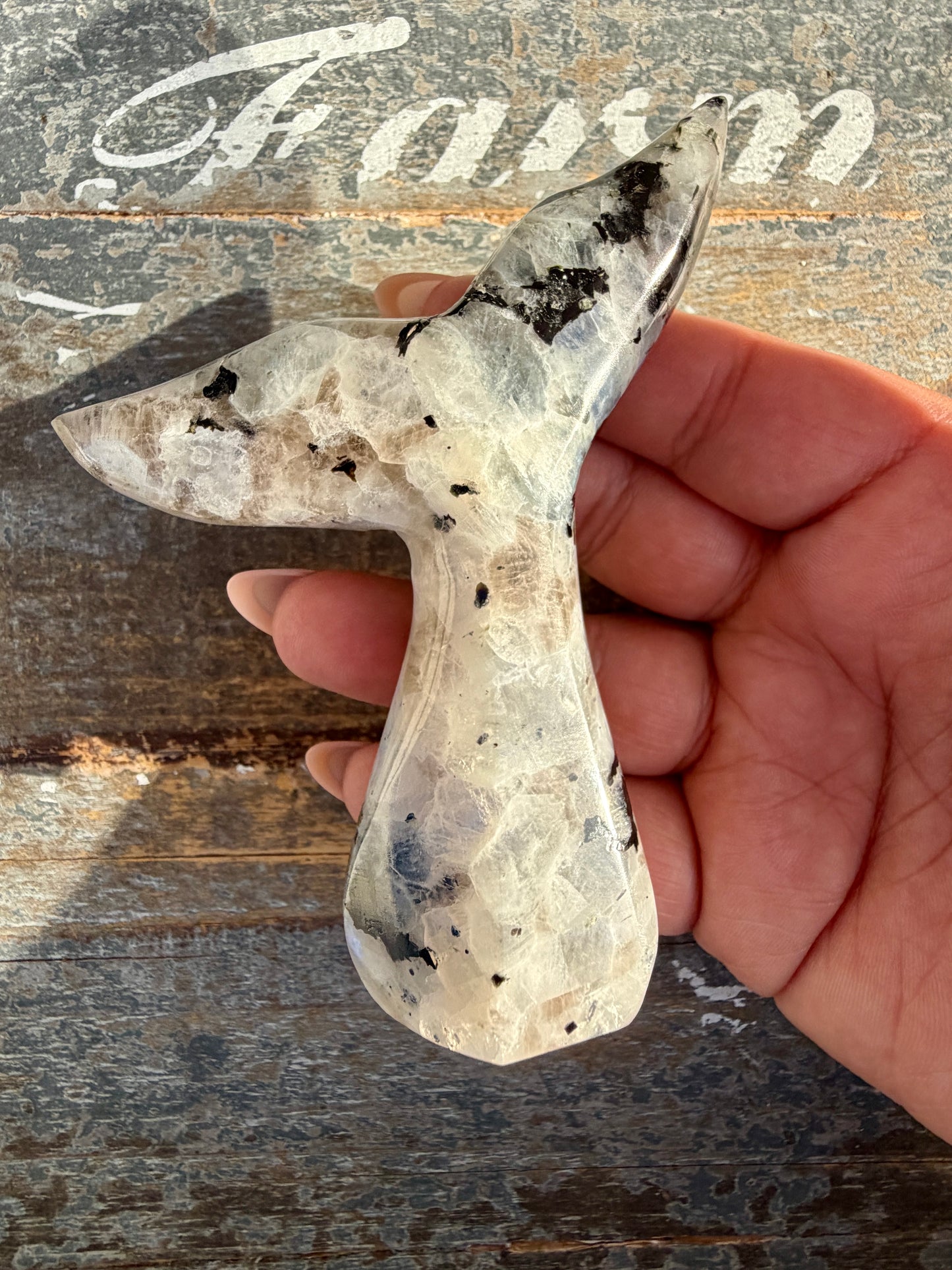 Gorgeous Rainbow Moonstone Whale Tail | India | Opt 4