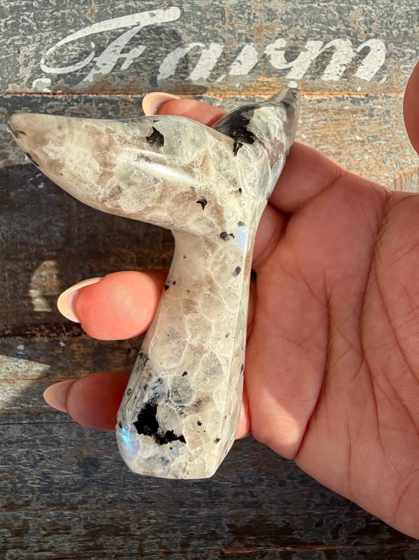 Gorgeous Rainbow Moonstone Whale Tail | India | Opt 4