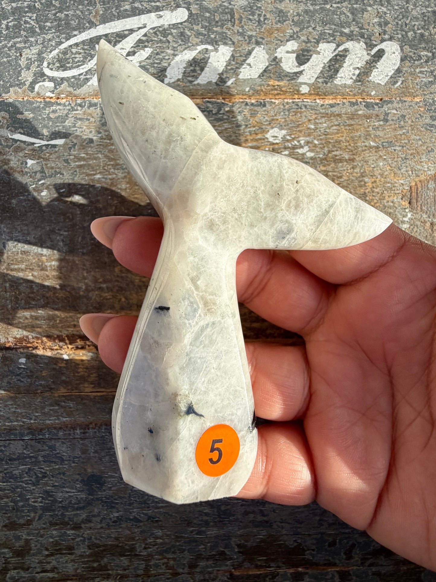 Gorgeous Rainbow Moonstone Whale Tail | India | Opt 5