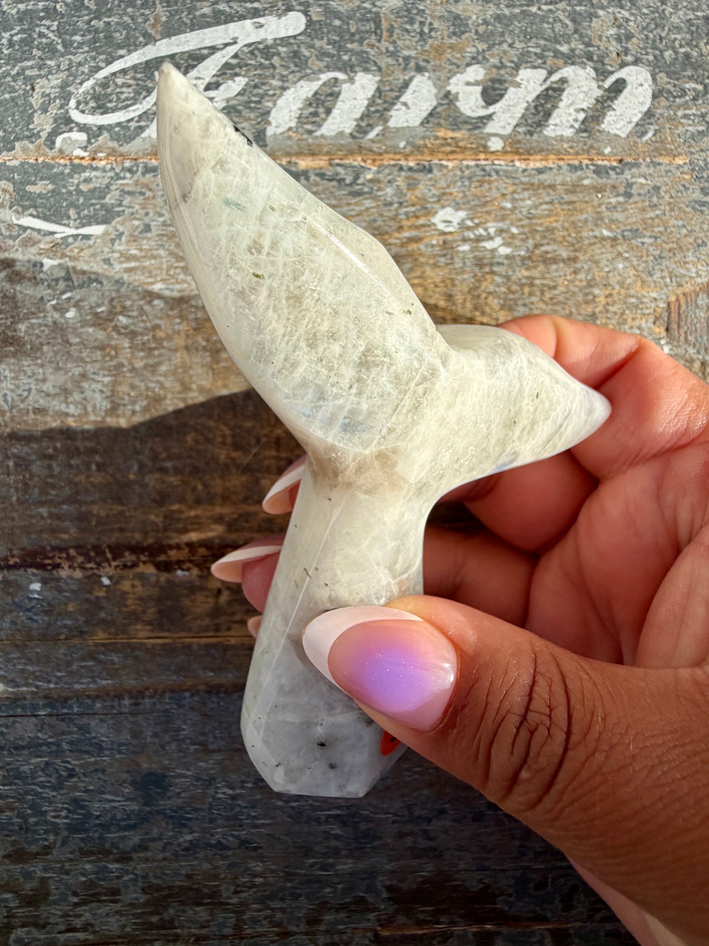 Gorgeous Rainbow Moonstone Whale Tail | India | Opt 5