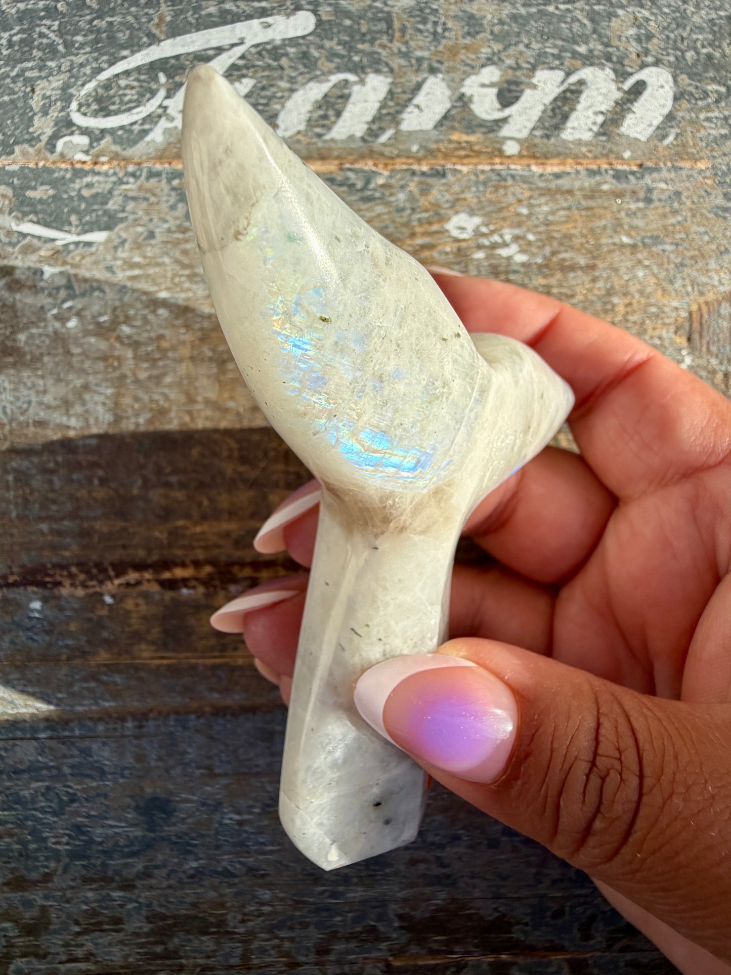 Gorgeous Rainbow Moonstone Whale Tail | India | Opt 5
