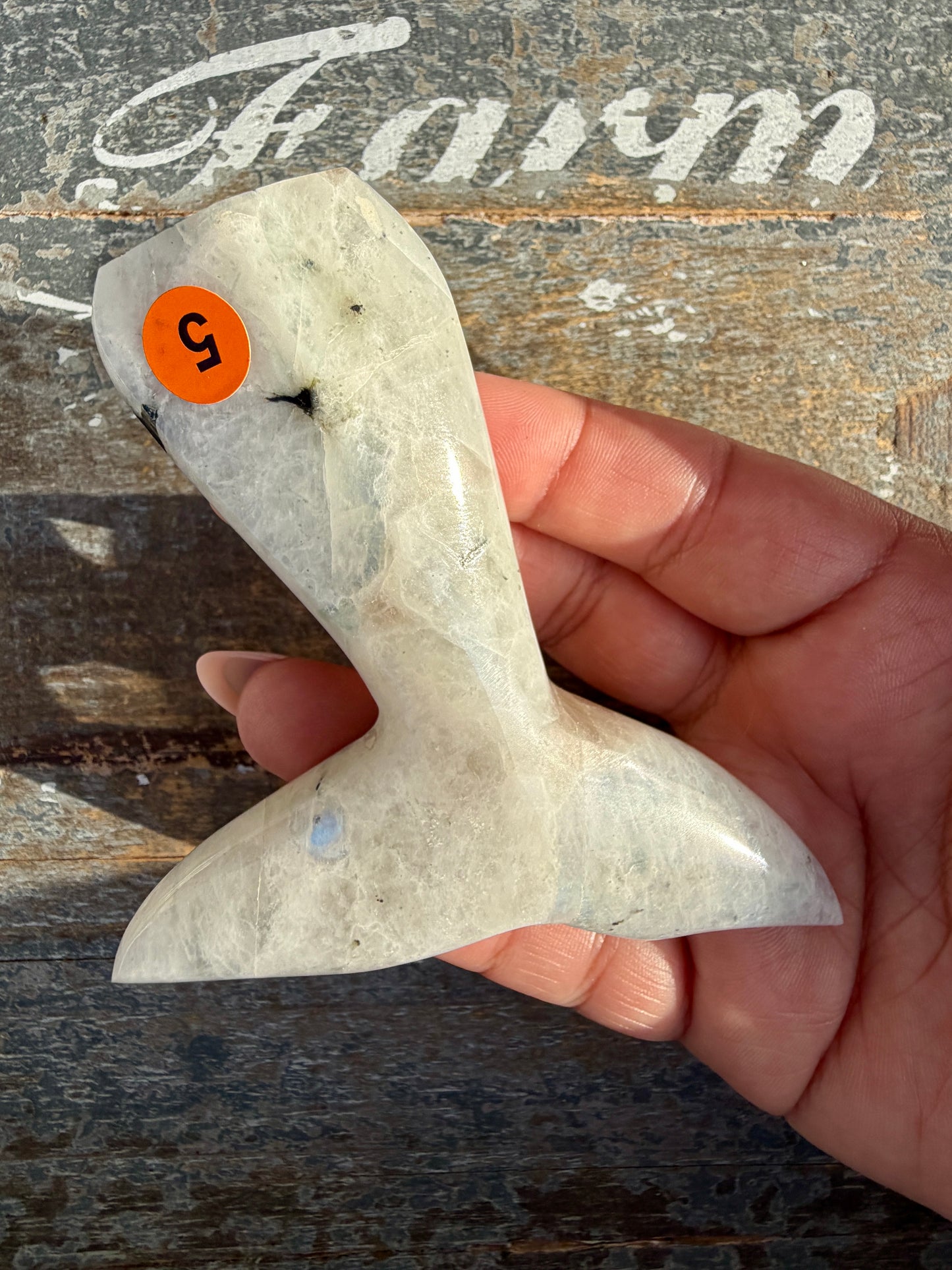 Gorgeous Rainbow Moonstone Whale Tail | India | Opt 5