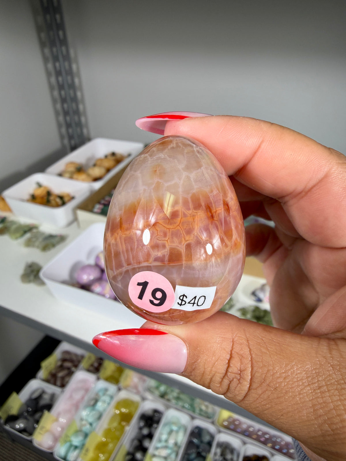 Gorgeous Snake Skin Agate Egg | Opt 19