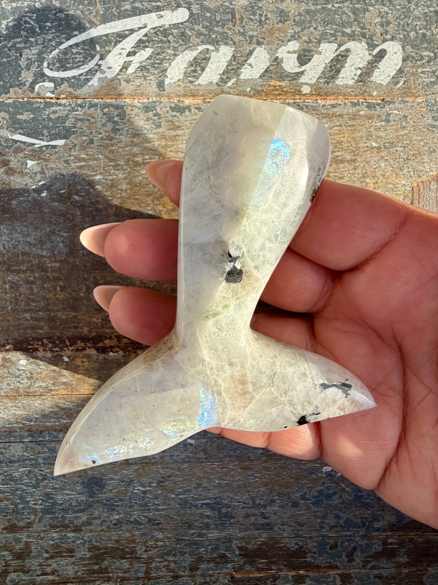 Gorgeous Rainbow Moonstone Whale Tail | India | Opt 5