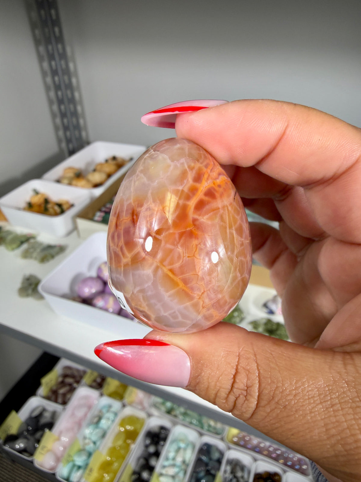 Gorgeous Snake Skin Agate Egg | Opt 19