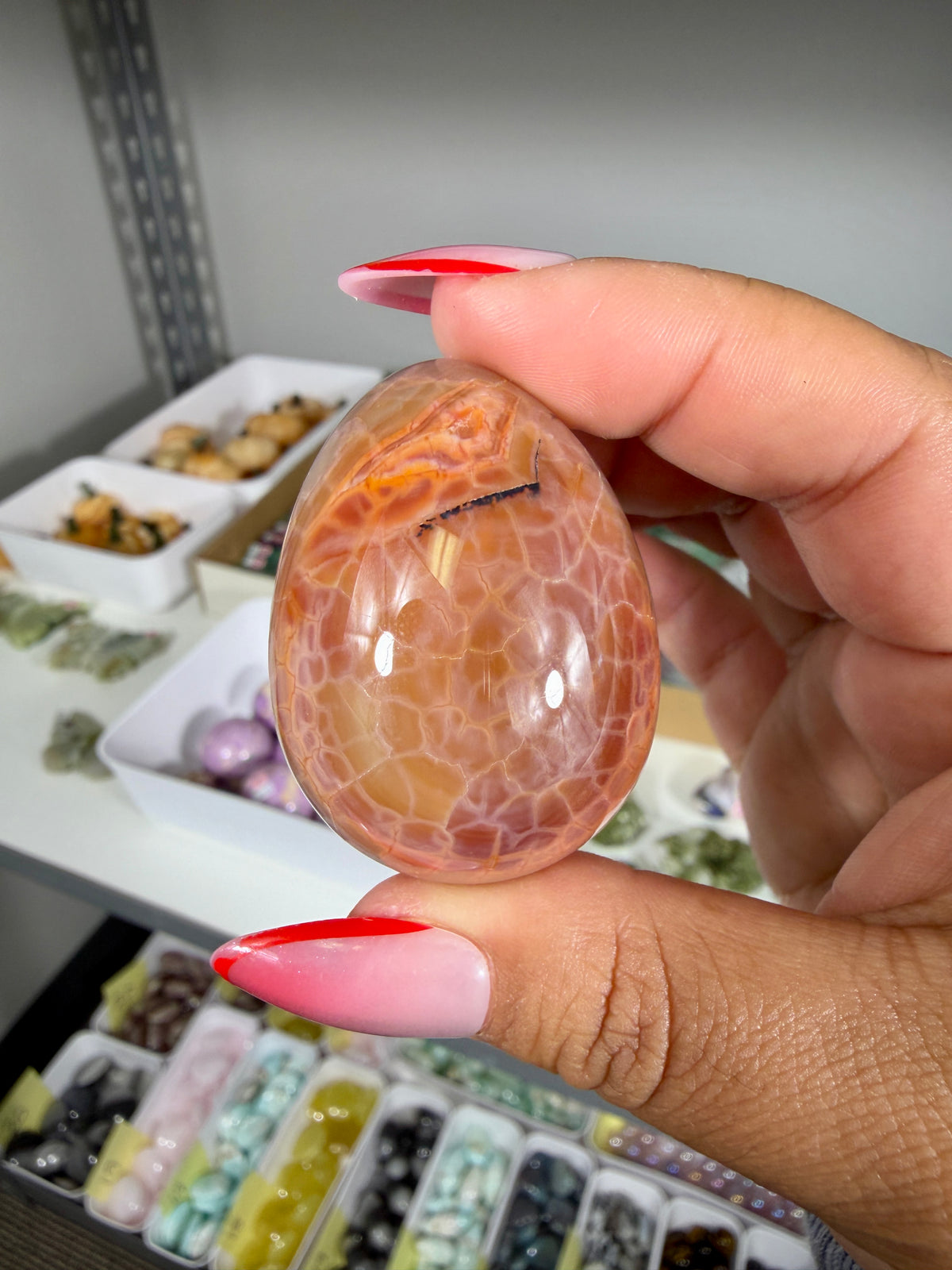 Gorgeous Snake Skin Agate Egg | Opt 19