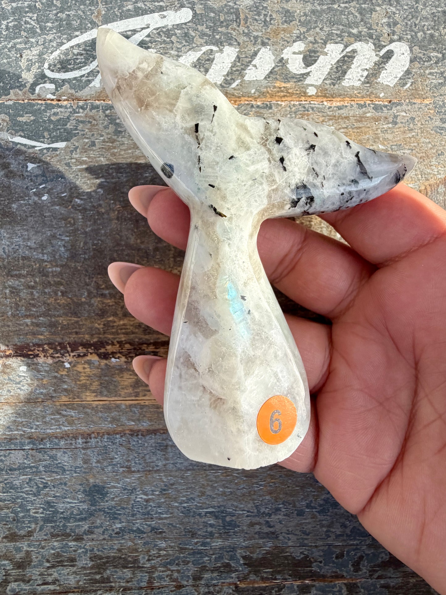 Gorgeous Rainbow Moonstone Whale Tail | India | Opt 6