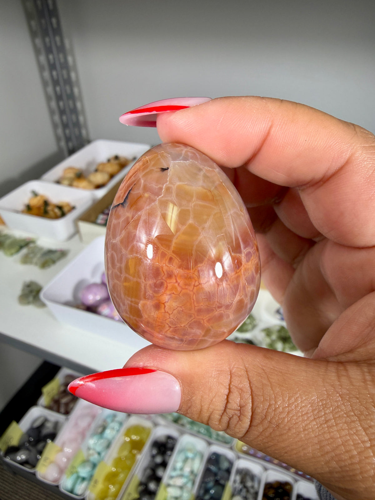Gorgeous Snake Skin Agate Egg | Opt 19