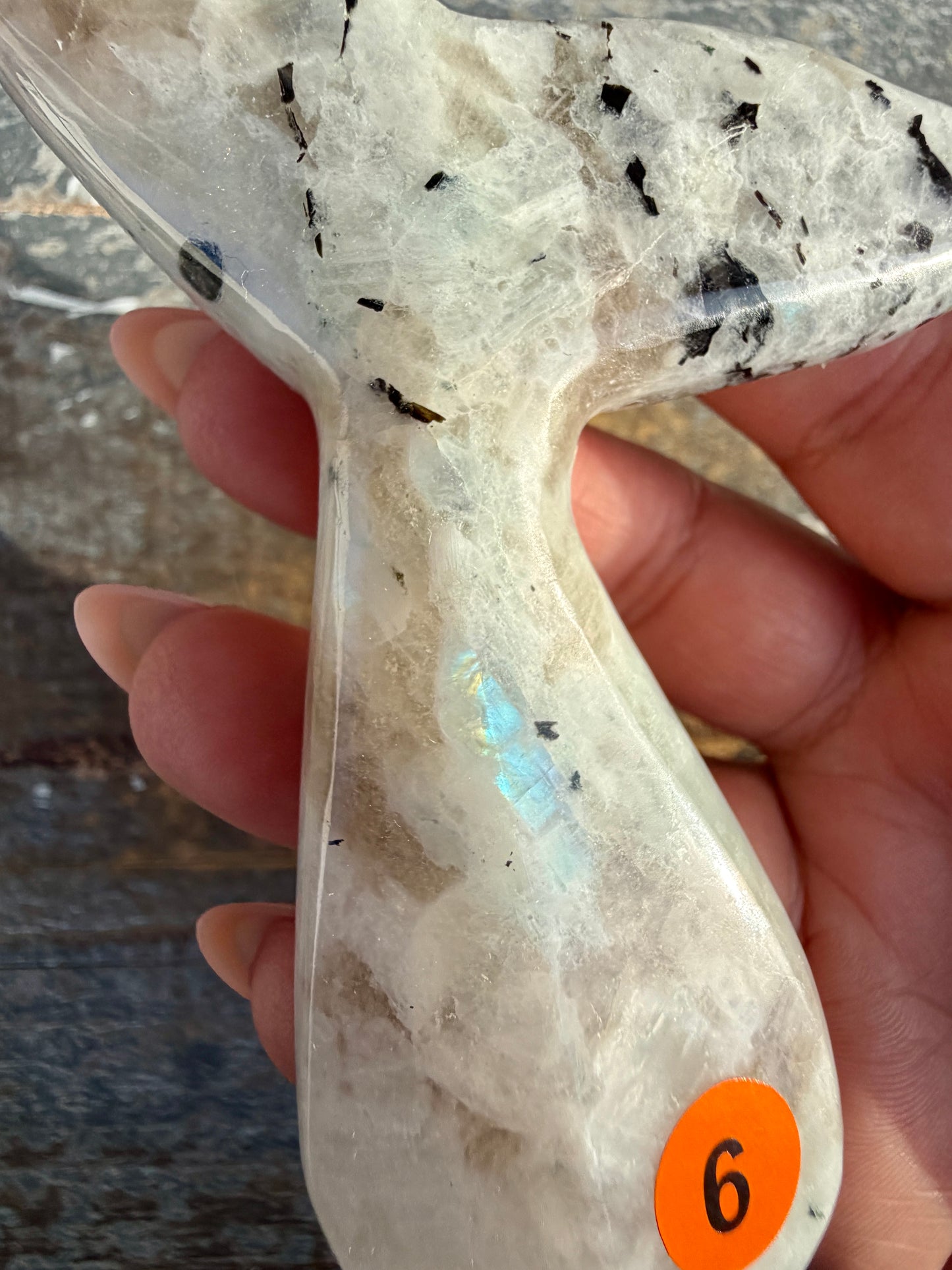 Gorgeous Rainbow Moonstone Whale Tail | India | Opt 6