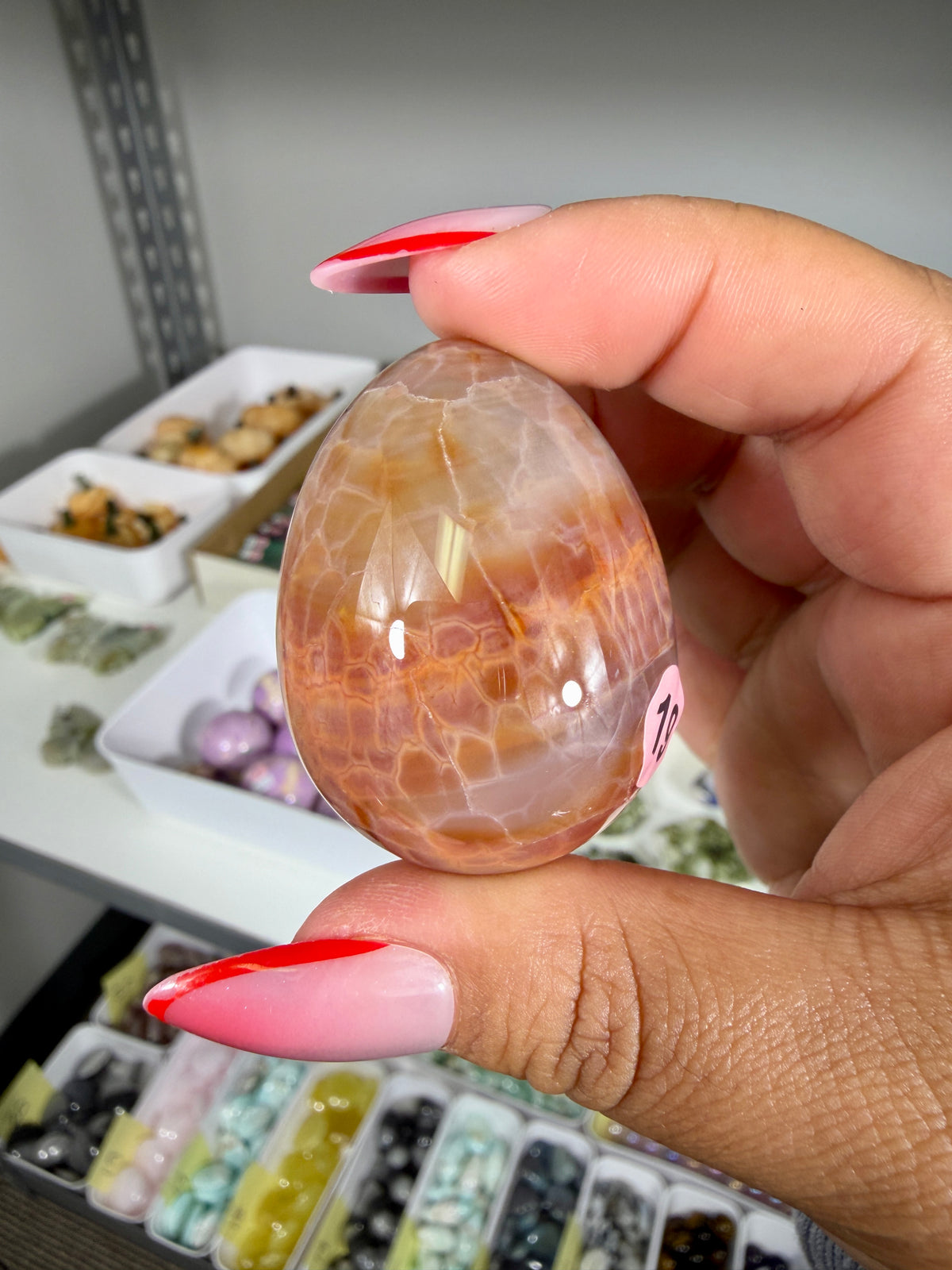Gorgeous Snake Skin Agate Egg | Opt 19