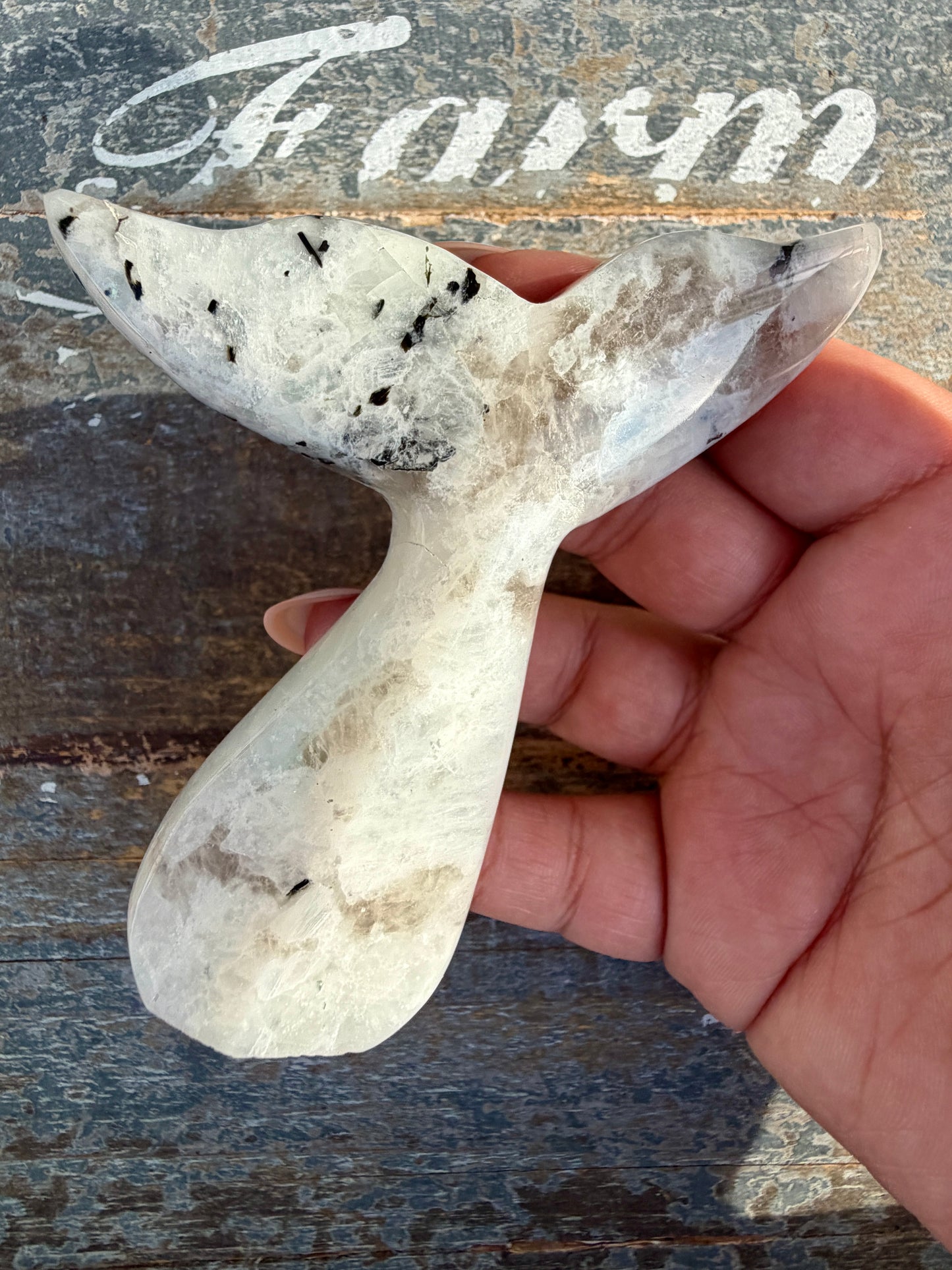 Gorgeous Rainbow Moonstone Whale Tail | India | Opt 6