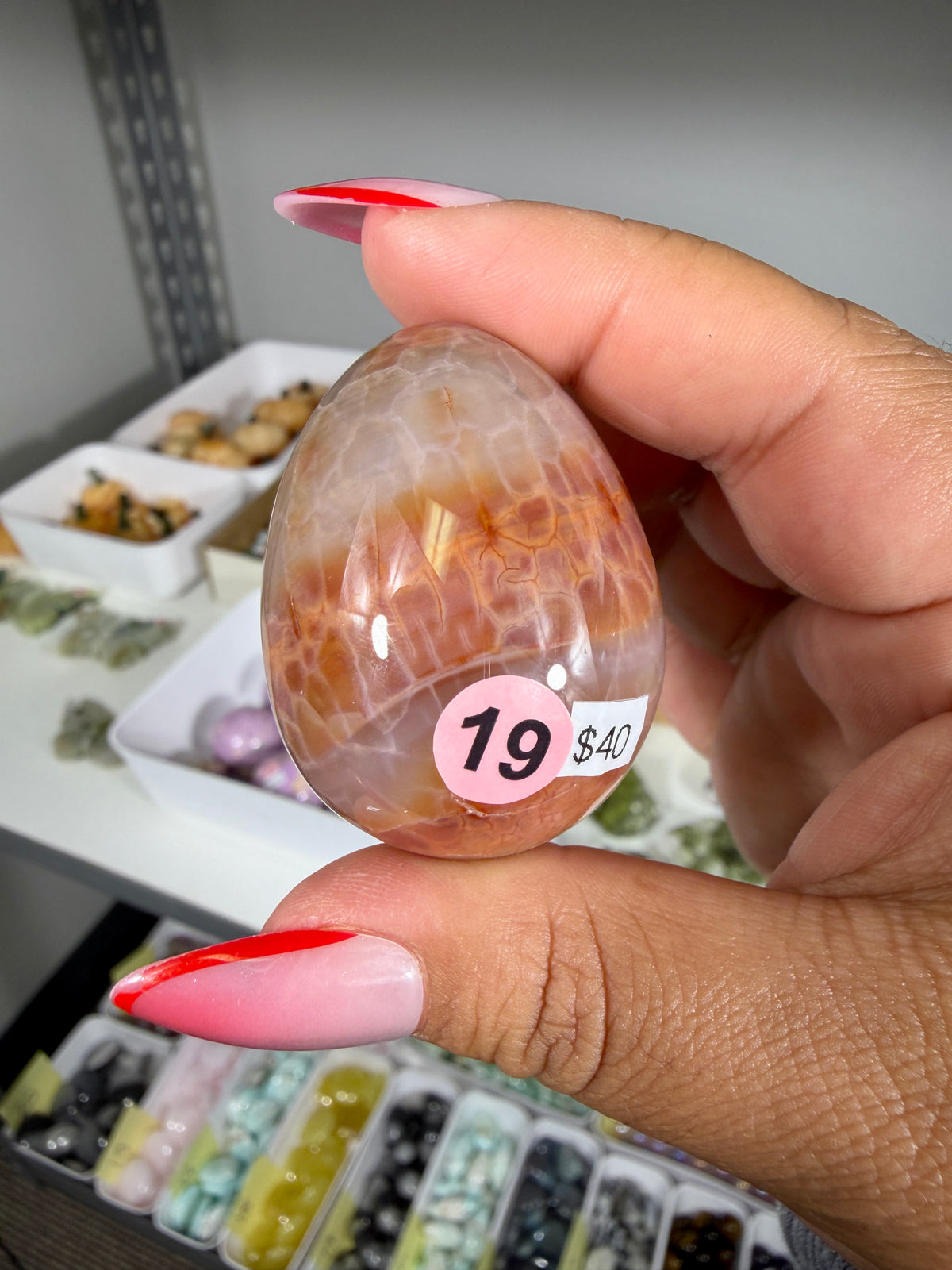 Gorgeous Snake Skin Agate Egg | Opt 19