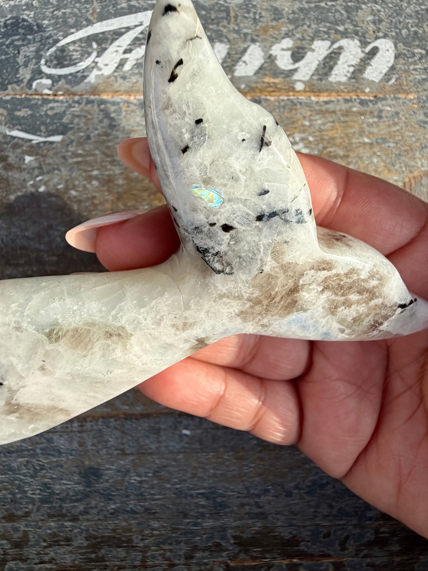 Gorgeous Rainbow Moonstone Whale Tail | India | Opt 6