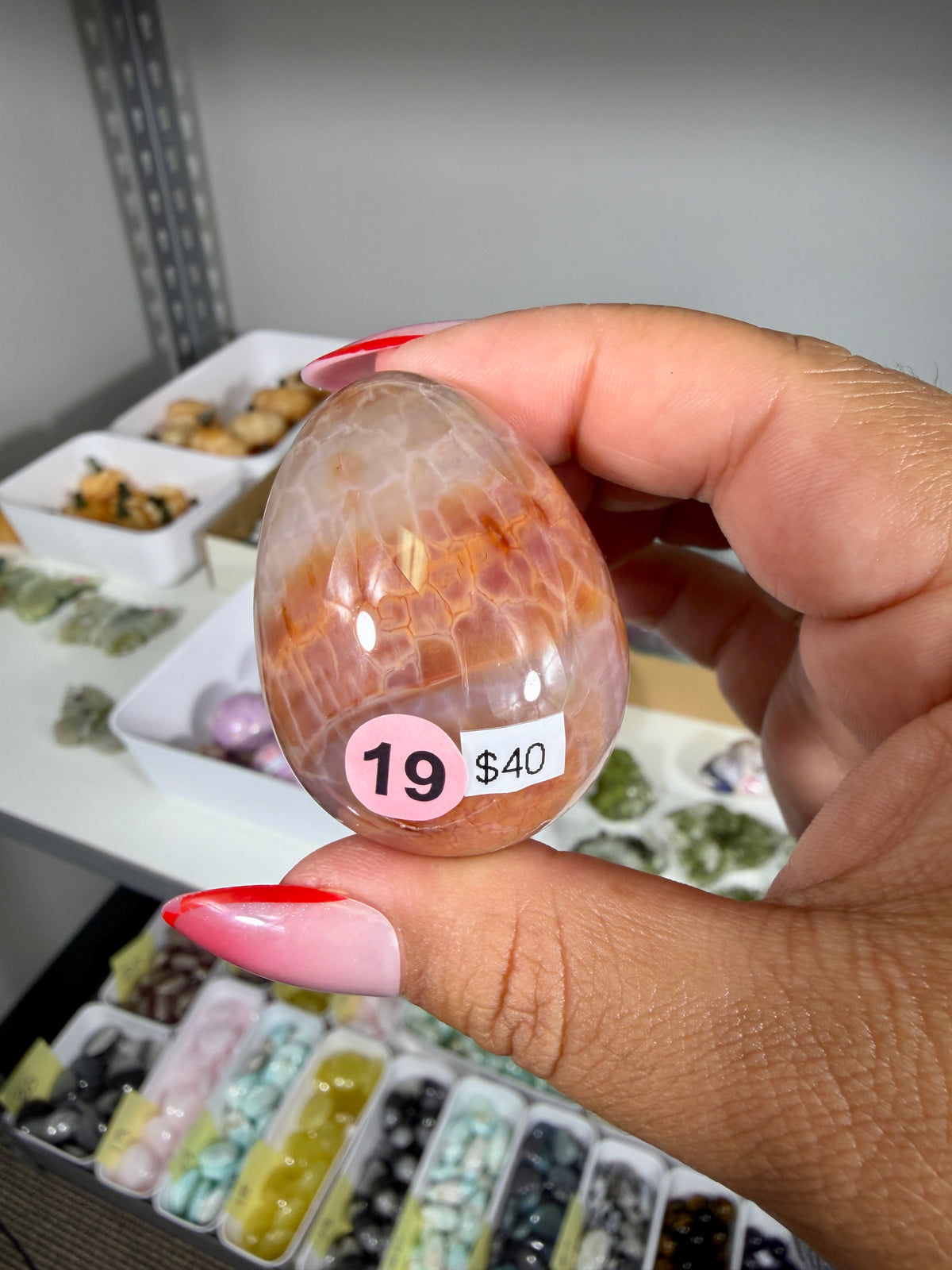Gorgeous Snake Skin Agate Egg | Opt 19