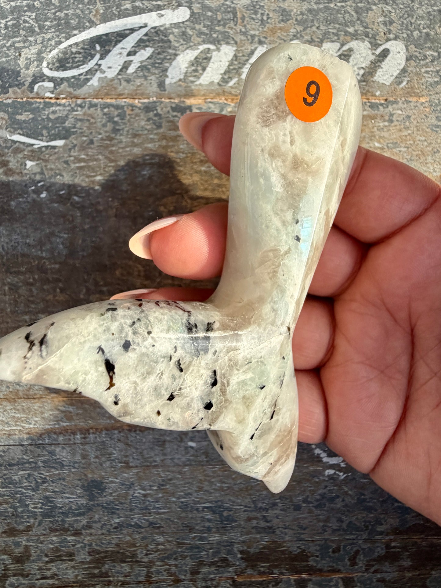 Gorgeous Rainbow Moonstone Whale Tail | India | Opt 6