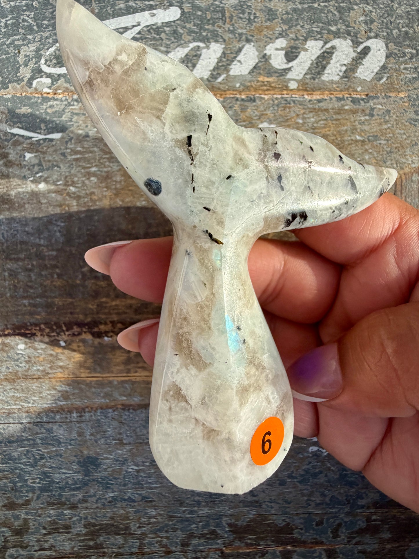Gorgeous Rainbow Moonstone Whale Tail | India | Opt 6