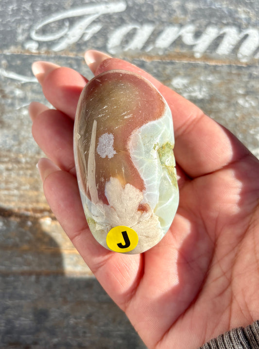 Gorgeous Green Flower Agate Palm Stone from Madagascar | Opt J
