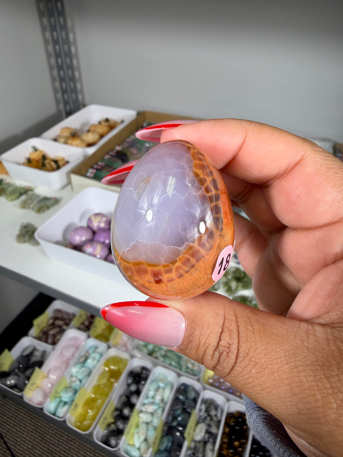Gorgeous Snake Skin Agate Egg | Opt 18