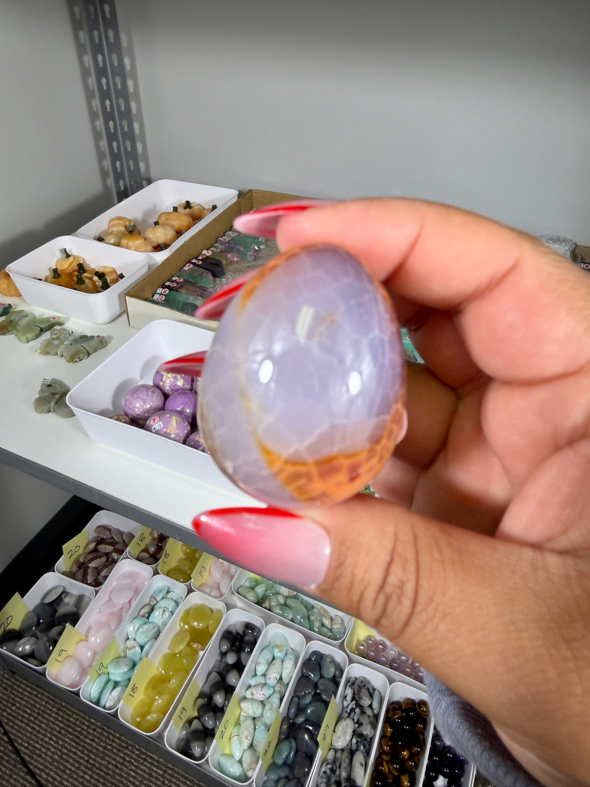 Gorgeous Snake Skin Agate Egg | Opt 18